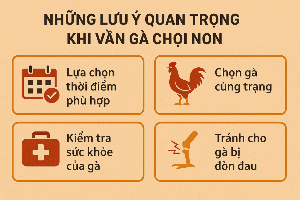Cách Vần gà chọi non là một quá trình quan trọng giúp gà phát triển cơ bắp, tăng cường sức khỏe và khả năng chịu đòn.